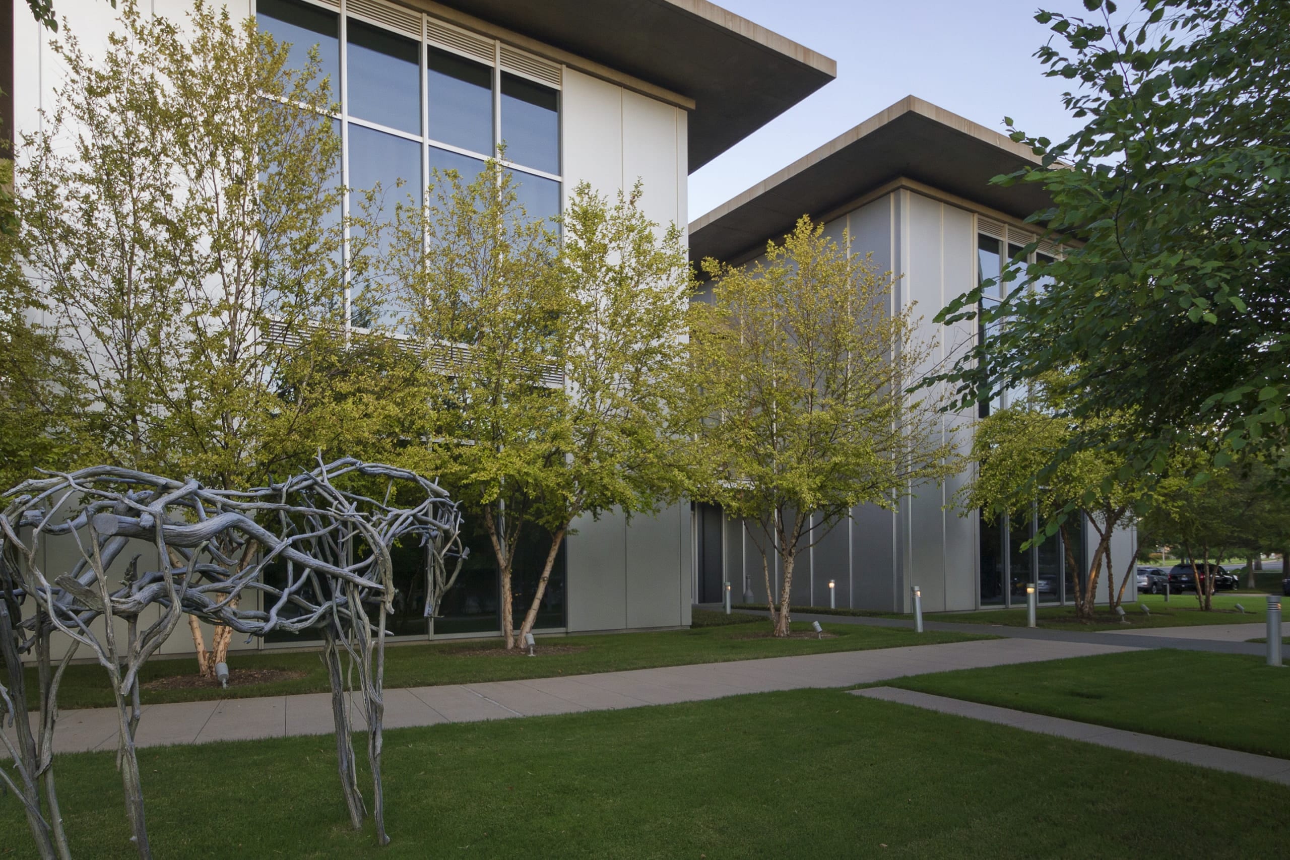 View of the Modern with Deborah Butterfield bronze horse sculpture