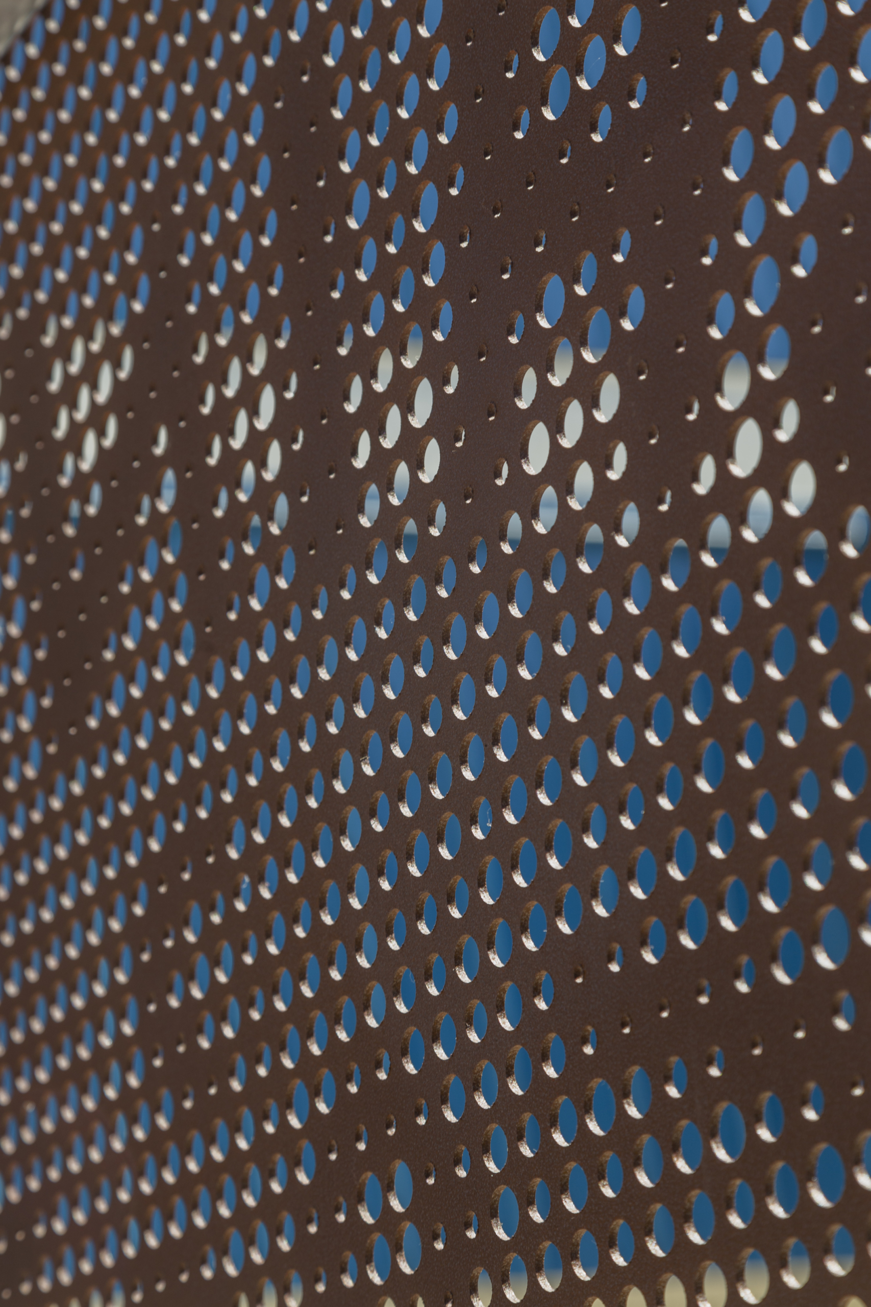 Solanum Steel perforated metal imagery.