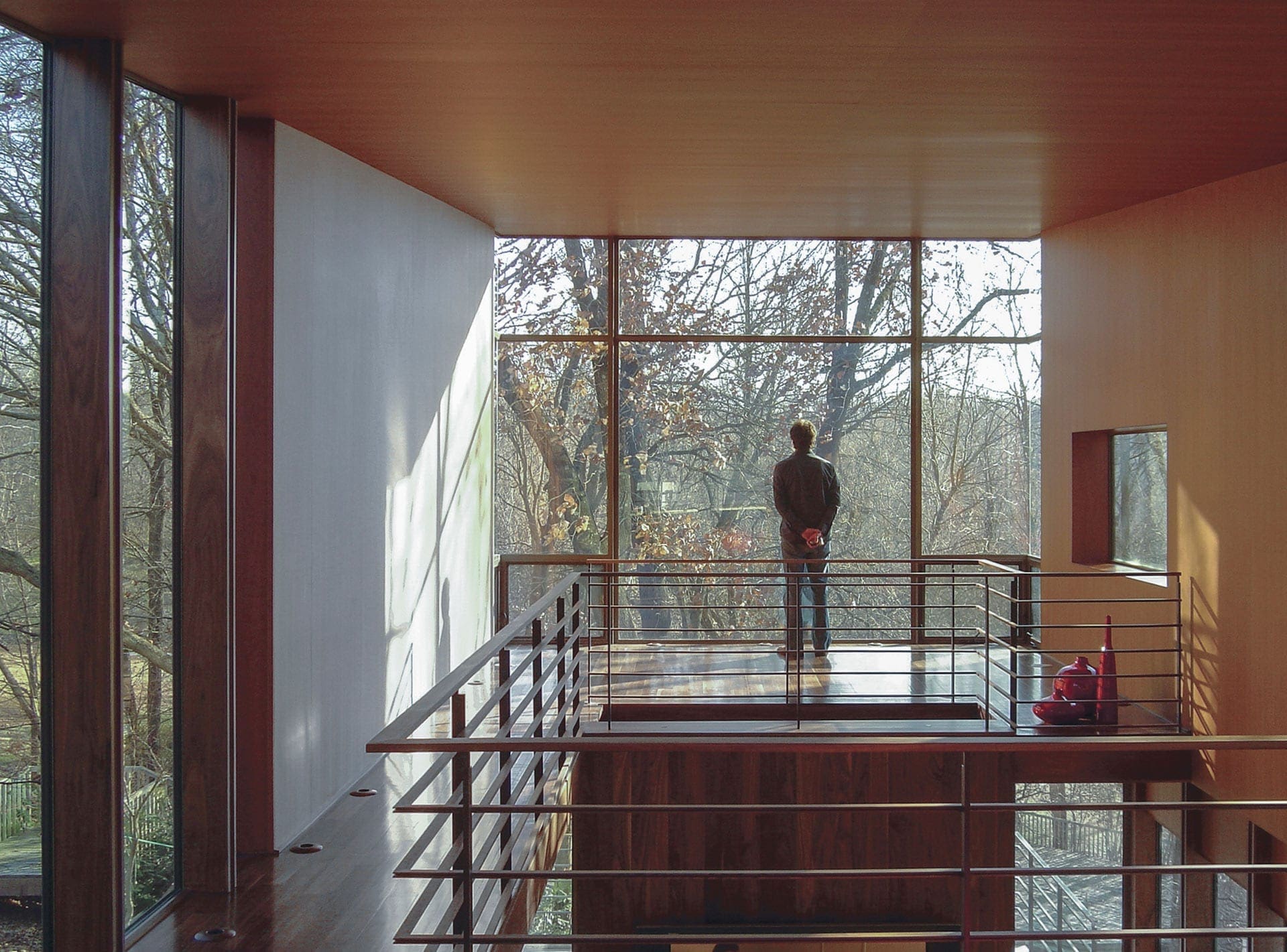 Arkansas House designed by Marlon Blackwell.